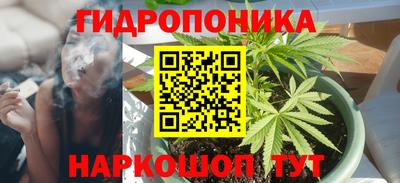 индика Первоуральск