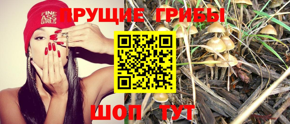 Псилоцибиновые грибы Cubensis  Вход с VPN  Отрадное 
